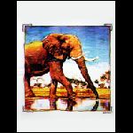 Elefant1.JPG